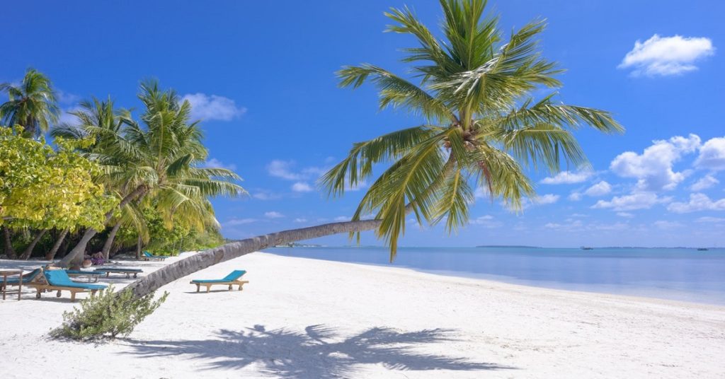 same day pcr test near me Manchester 